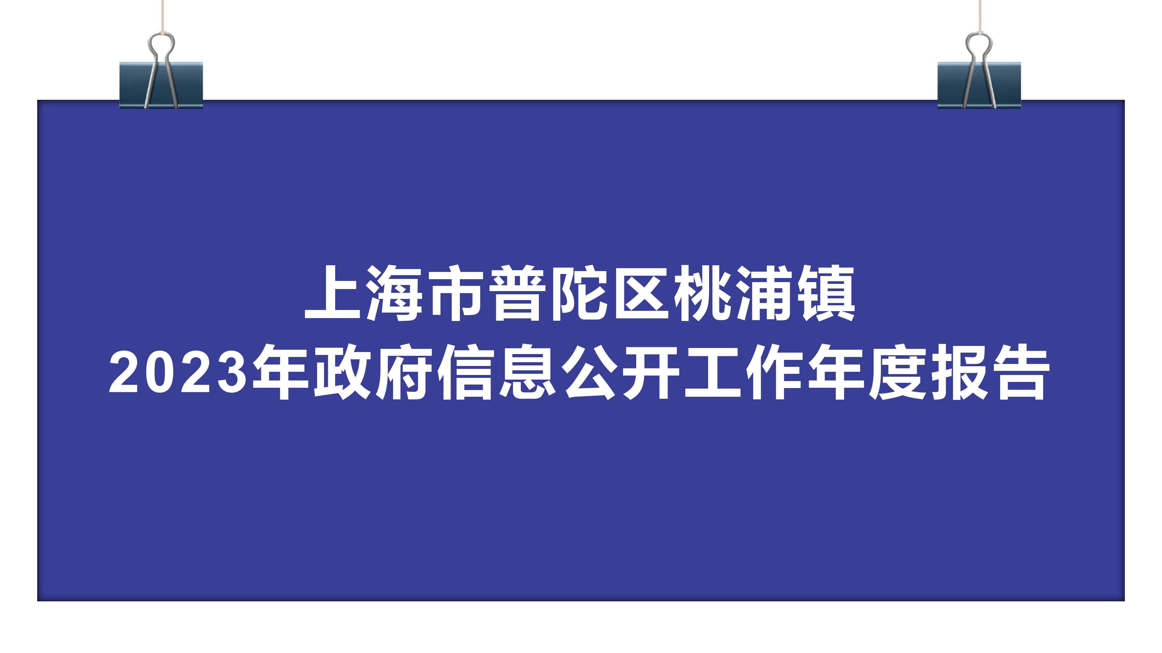图解：《上海市普陀区桃浦镇2023年度政府信息公开工作年度报告》
