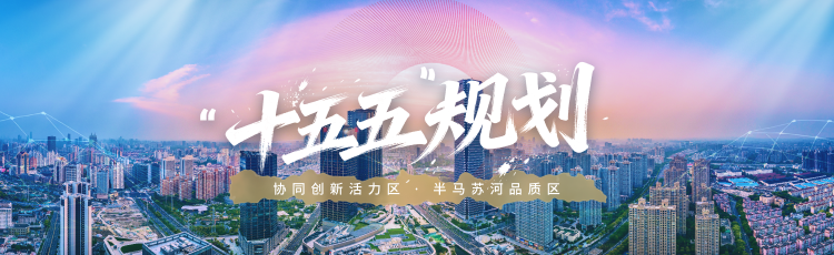“十五五”规划