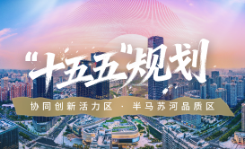 “十五五”规划