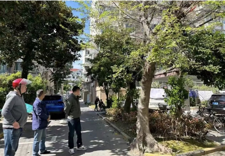 党建引领基层治理｜搬迁占道树、增设充电桩、升级宣传栏……曹杨这里聚焦民生实事，让幸福持续“升温”！
