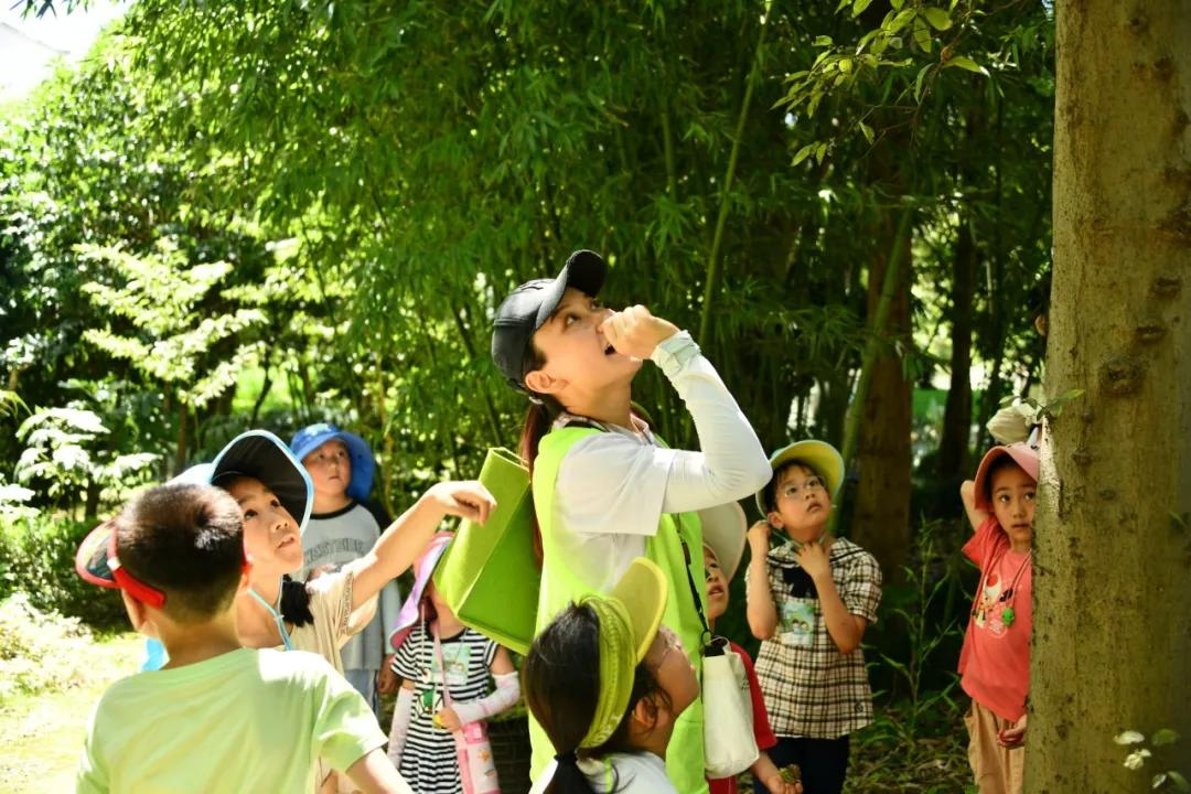 微信图片_20240807090609.png 微信图片_20240807090609.png