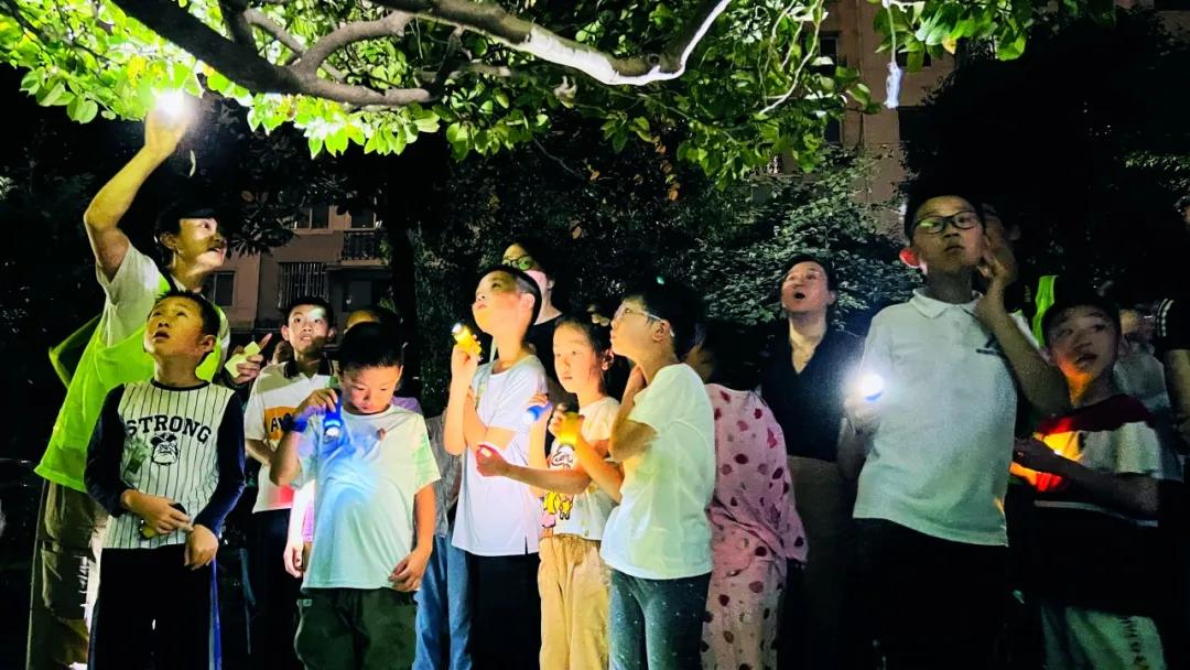 微信图片_20240807090620.png 微信图片_20240807090620.png