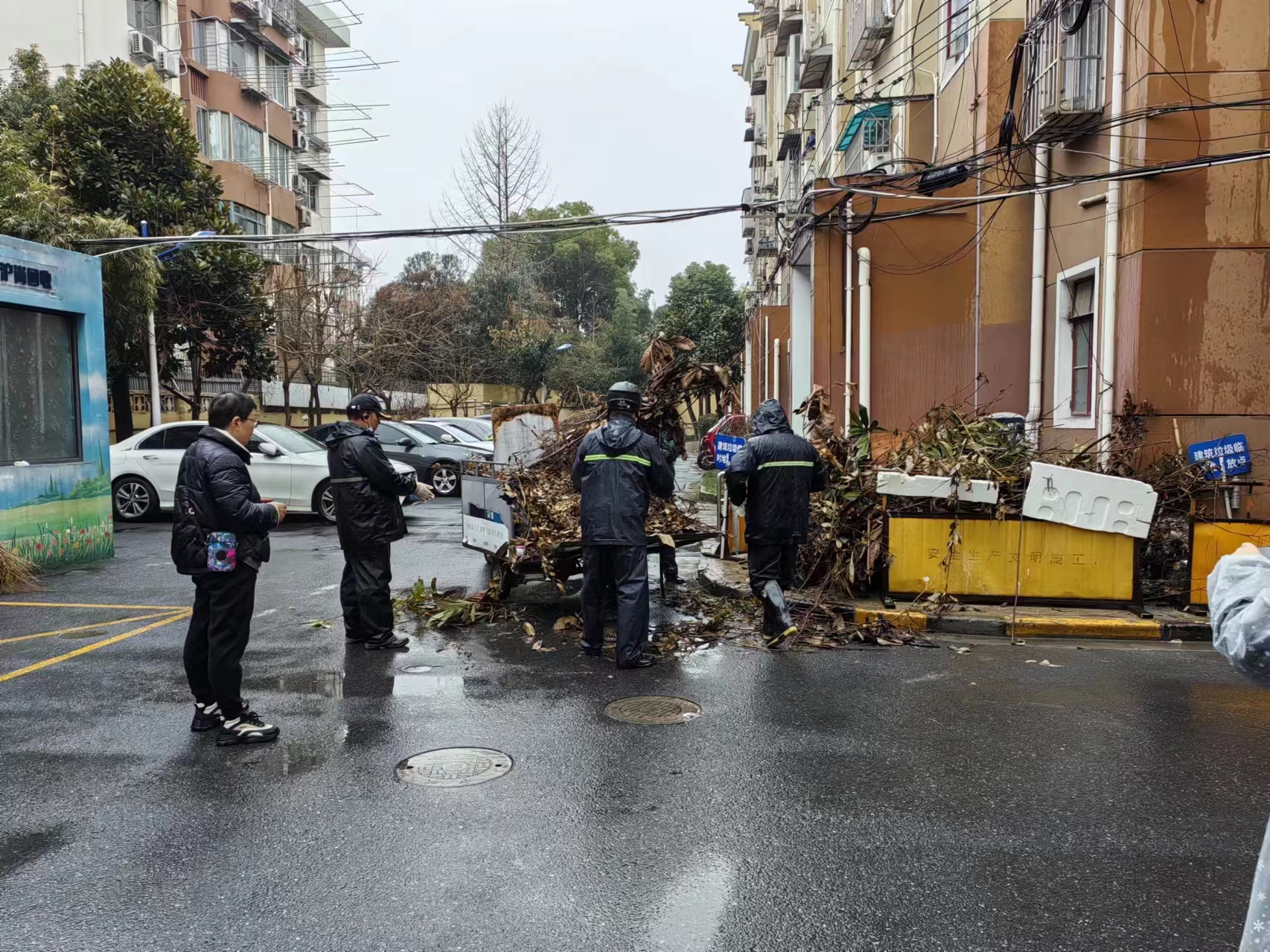 微信图片_20241202093137.jpg 微信图片_20241202093137.jpg