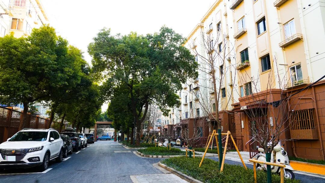 真光四“变形记” | 新春服务“不断档”，真如物业以真心换民心