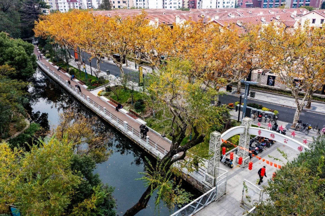 上海城市更新优秀实践案例|曹杨社区（含曹杨新村、曹杨一村、百禧公园）：工人新村焕活密码