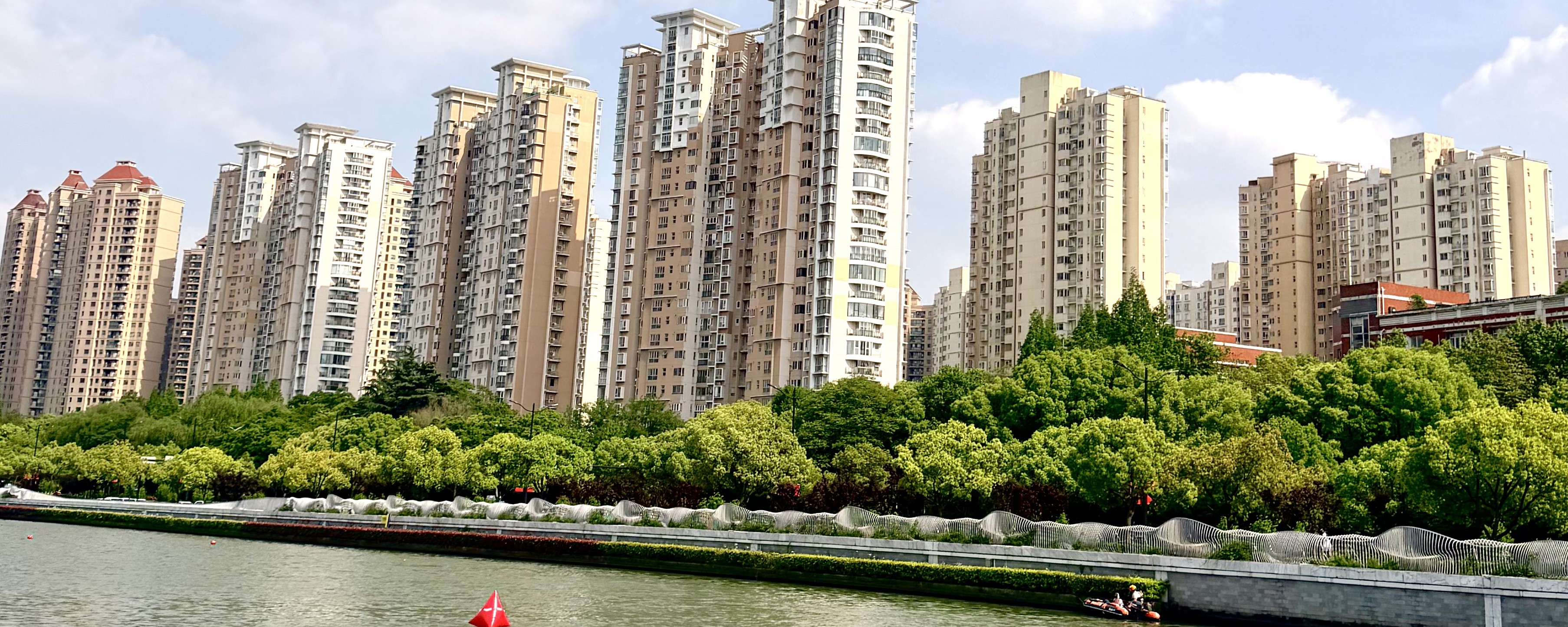 青聚苏河·绿见未来！      区生态环境局青年干部共赴这场“生态之约”