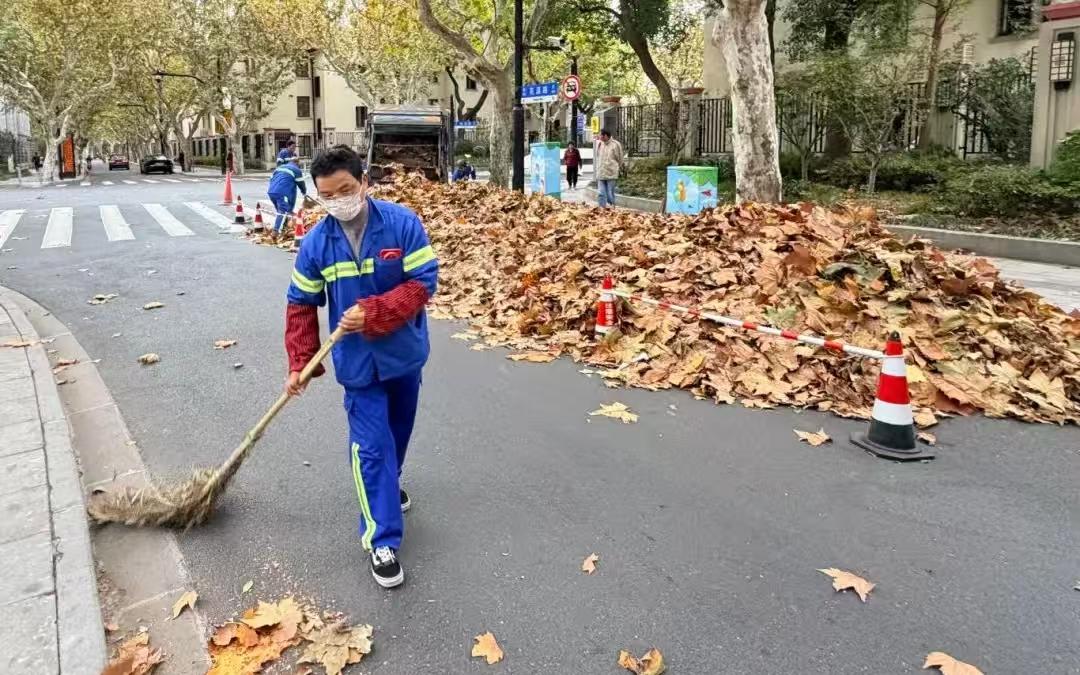一夜落叶满城，普陀环卫多举措还道路整洁