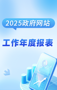 2025政府网站工作表度报表