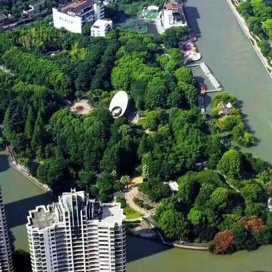 区政府常务会议召开，直播审议普陀区就业和社会保障“十五五”规划