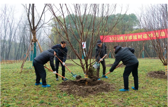 植树巡林，点“绿”桃浦好春光