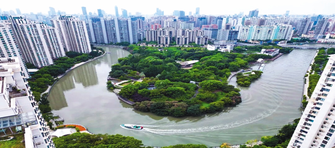 筑牢堡垒强根基，激活治理新动能 普陀区以高质量党建引领高质量发展