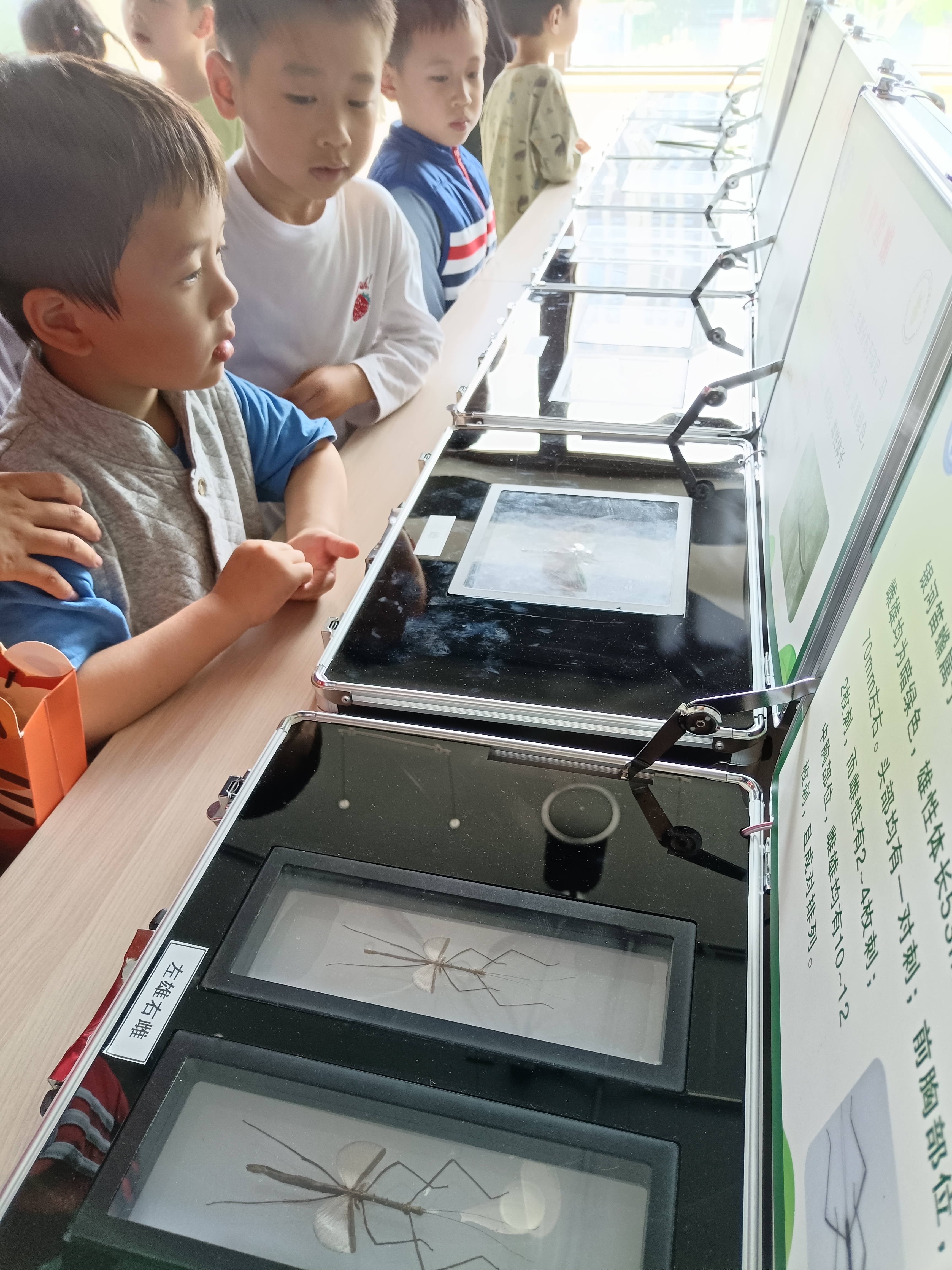 0425_160334_262.jpg 0425_160334_262.jpg