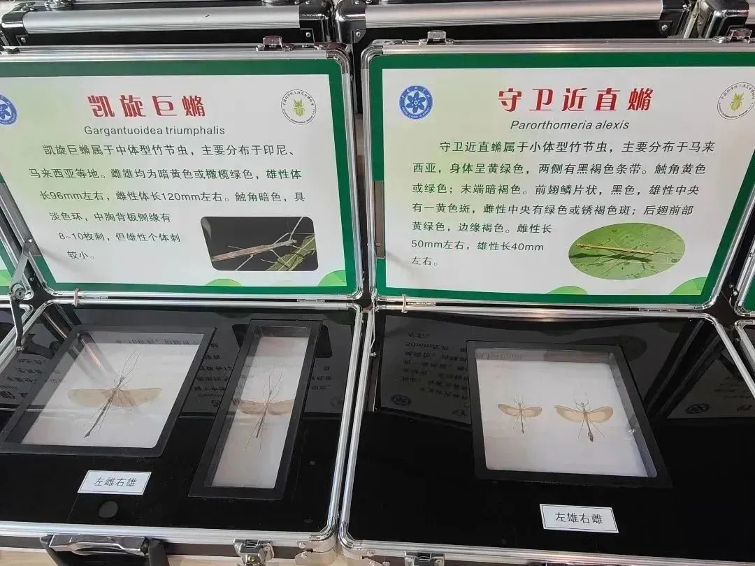 0425_160334_135.jpg 0425_160334_135.jpg