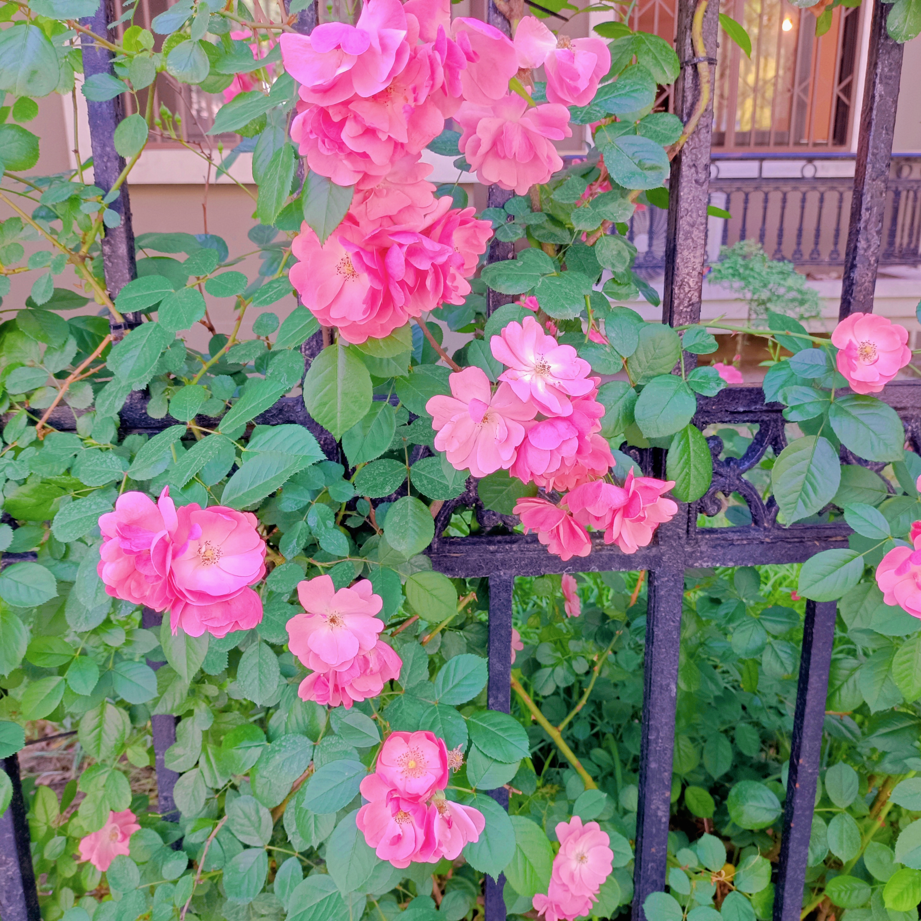 0531_143041_490.jpg 0531_143041_490.jpg