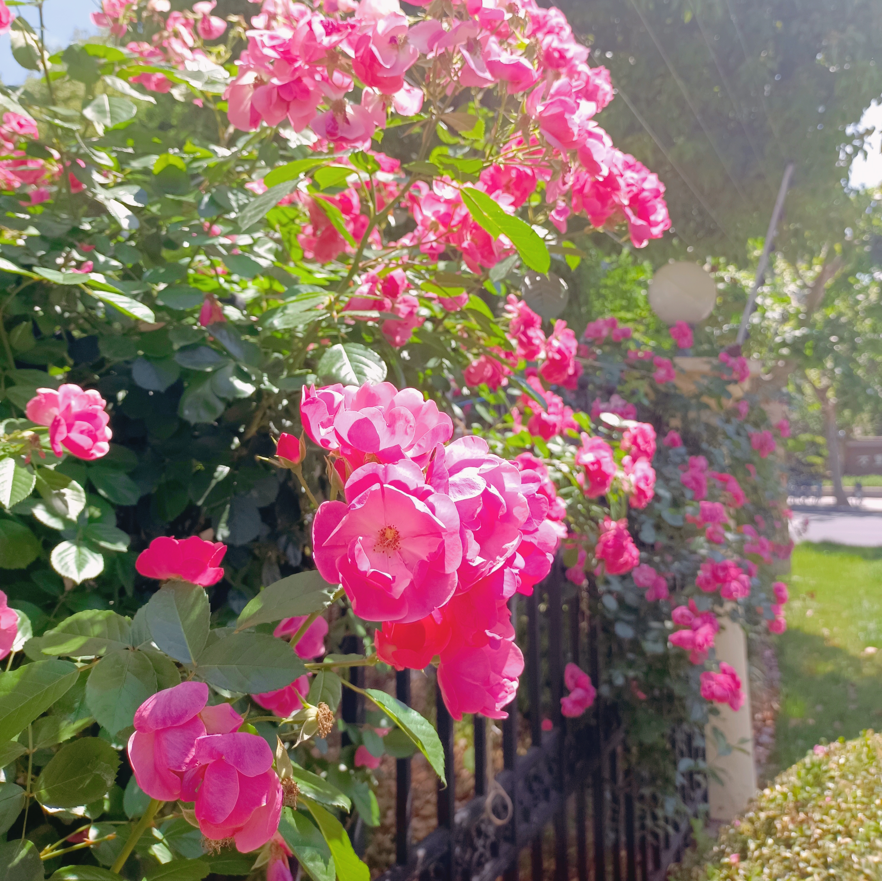 0531_143041_929.jpg 0531_143041_929.jpg