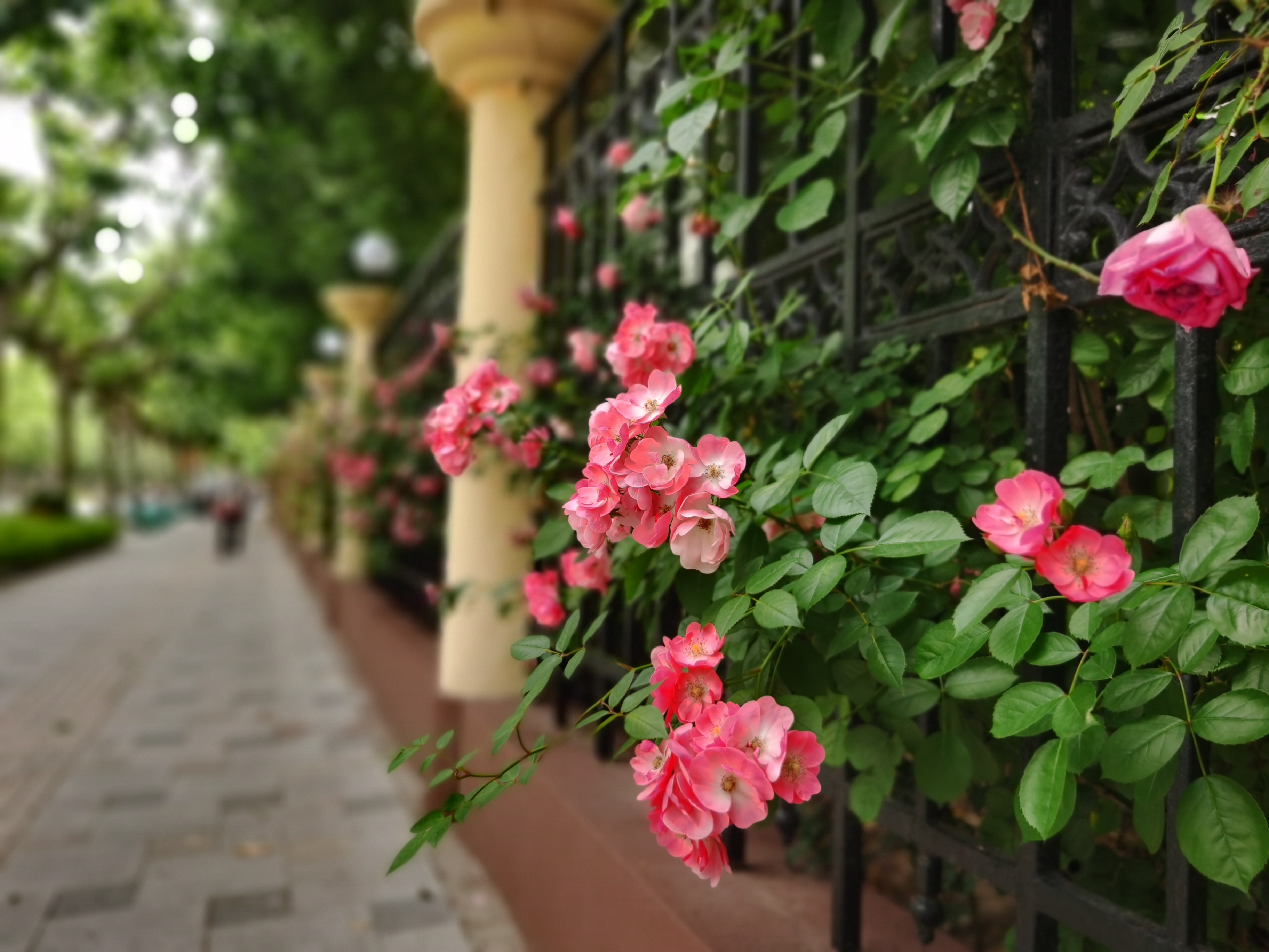 0531_142857_524.jpg 0531_142857_524.jpg