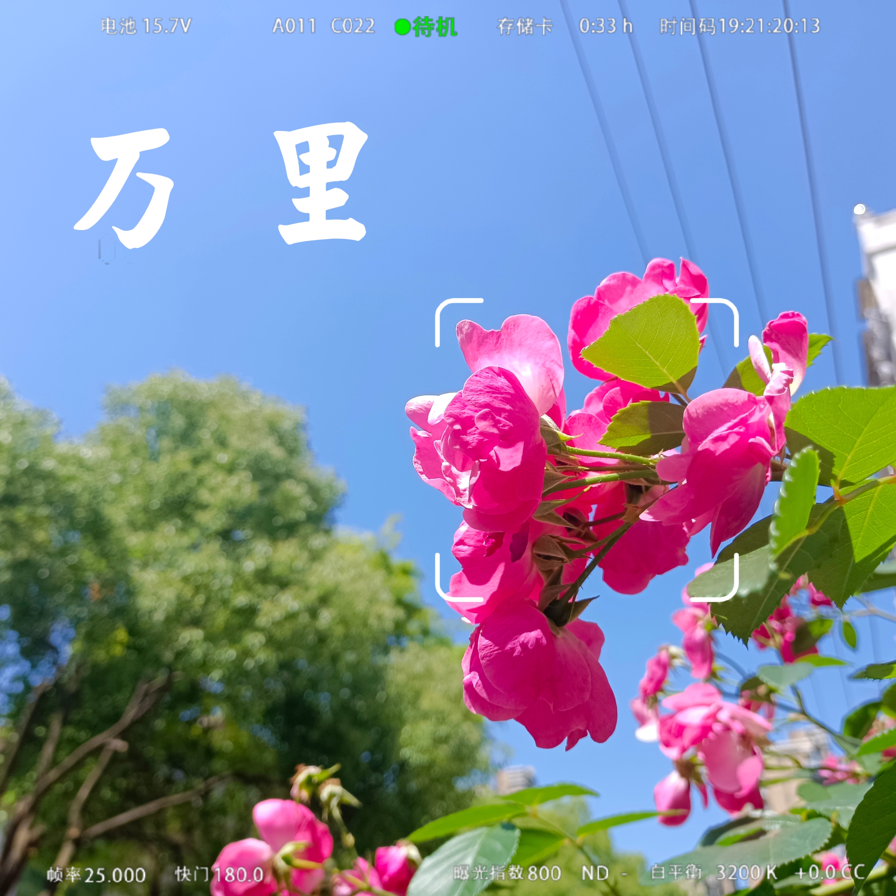 0531_142747_356.jpg 0531_142747_356.jpg