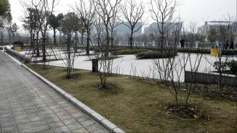 建德滨江鱼鸟之恋公园