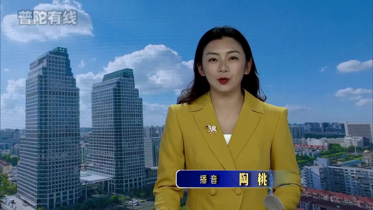 20261014普陀新闻视频