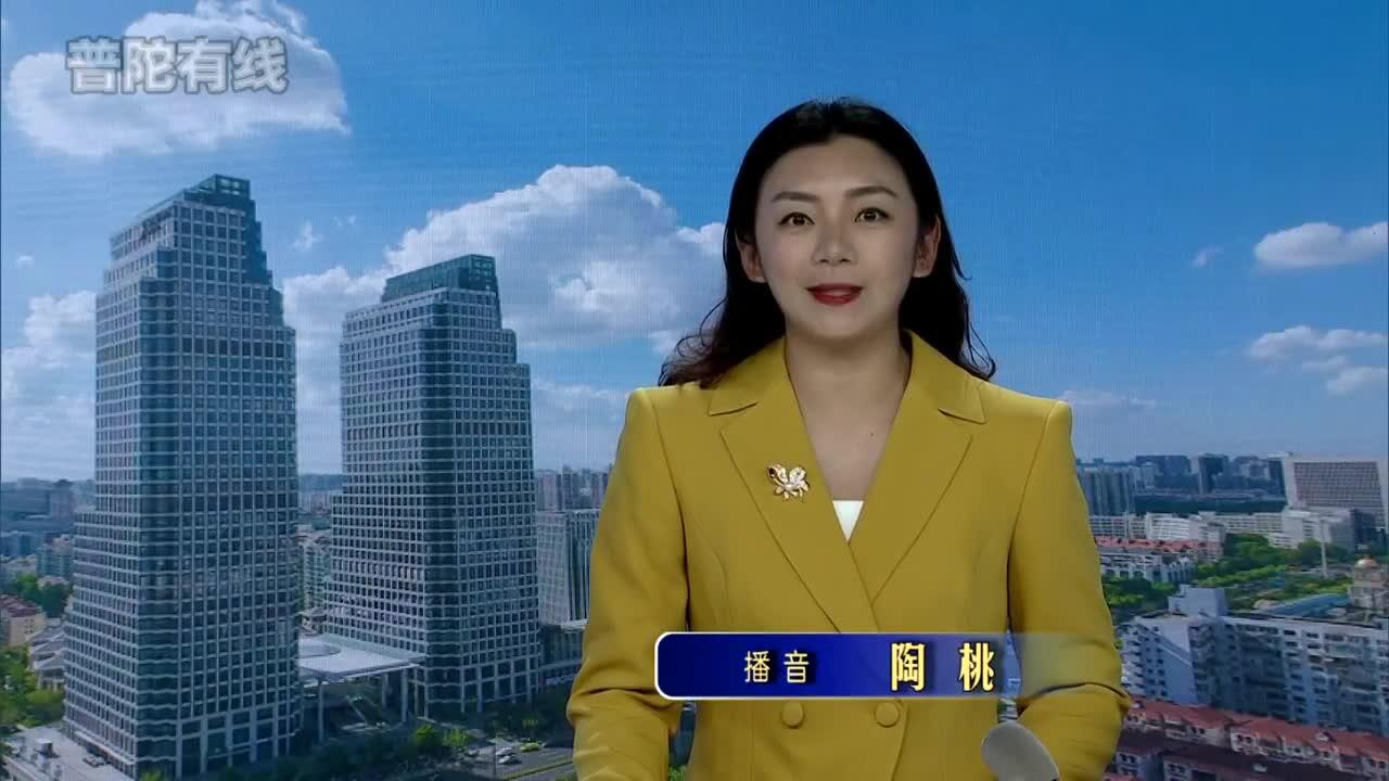 20261015普陀新闻视频