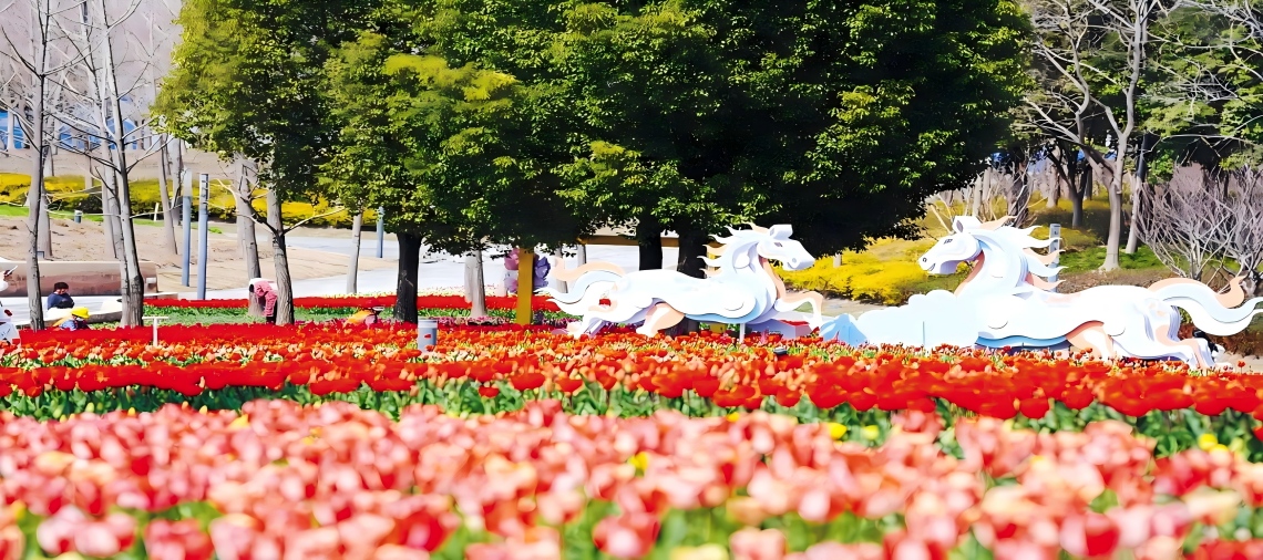 普陀“周周有戏”启幕