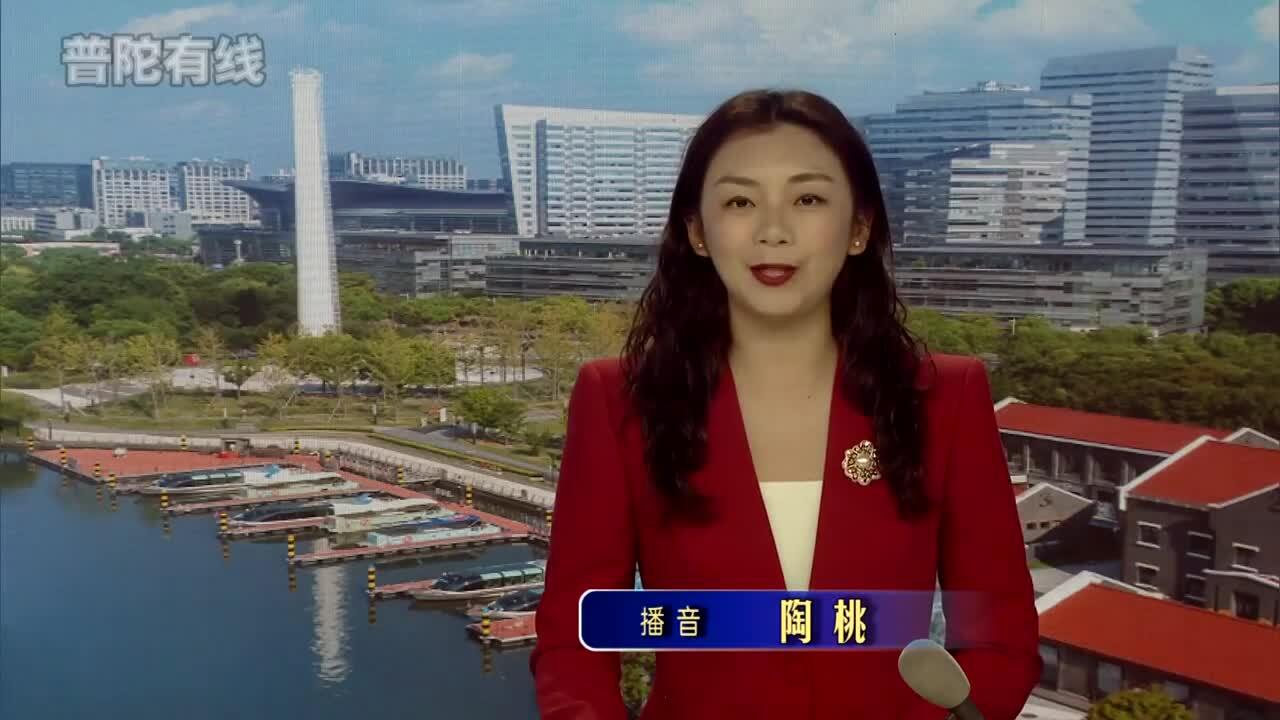 20260409普陀新闻视频