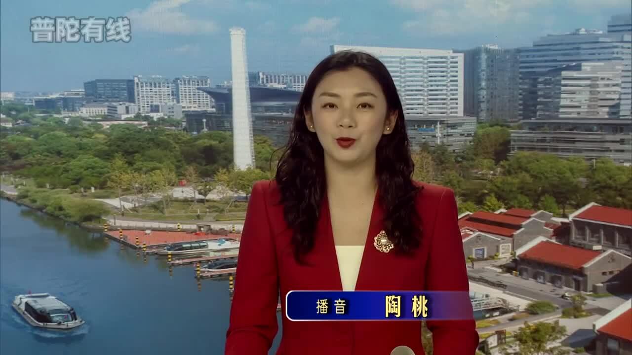 20260126普陀新闻视频