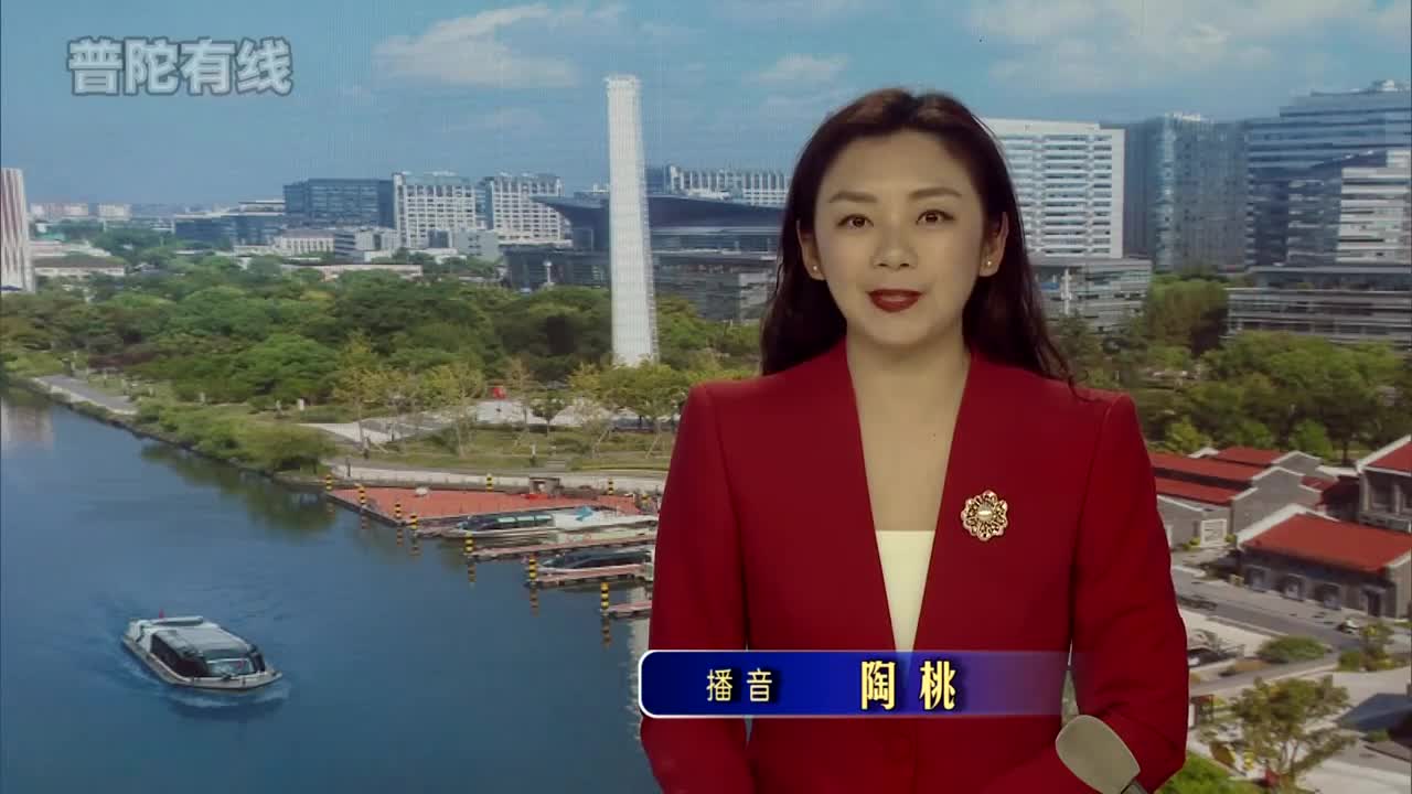 20260330普陀新闻视频