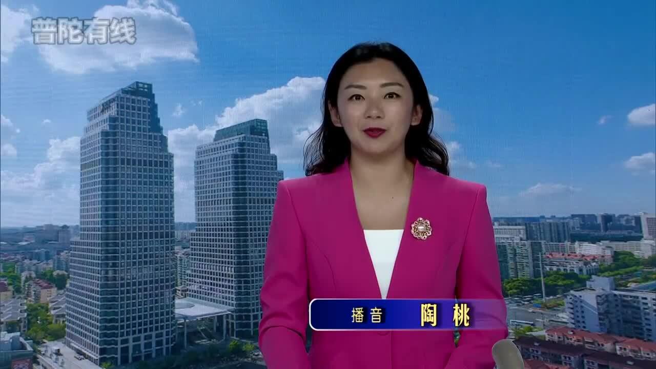 20261013普陀新闻视频