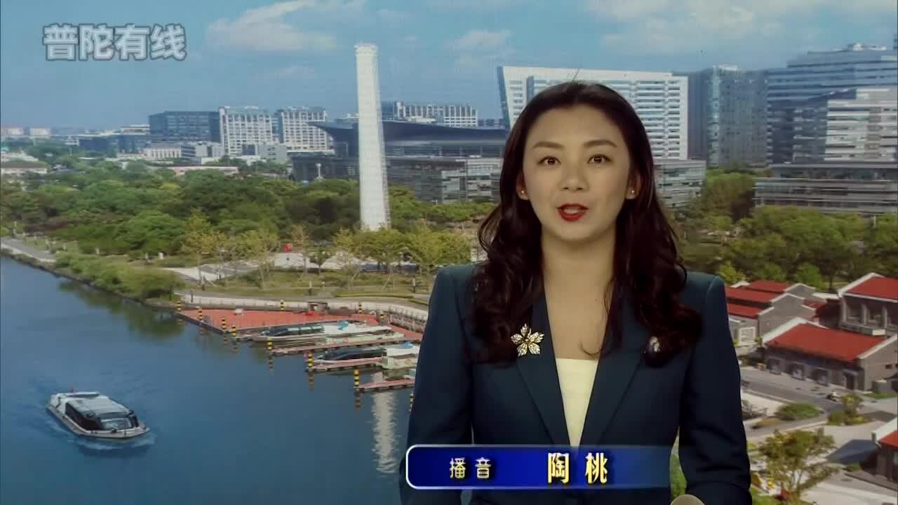 20260128普陀新闻视频