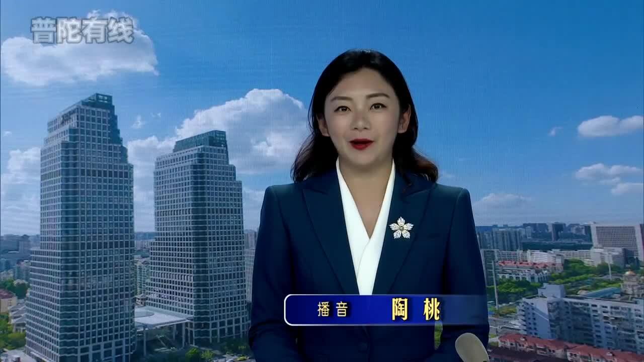 20261026普陀新闻视频