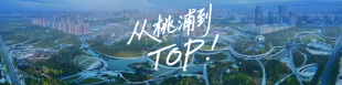 从桃浦到TOP