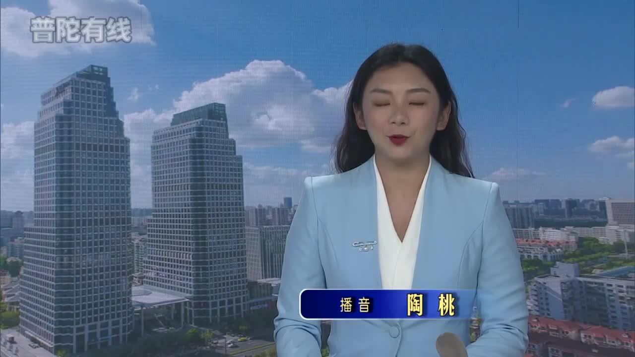 20260813普陀新闻视频