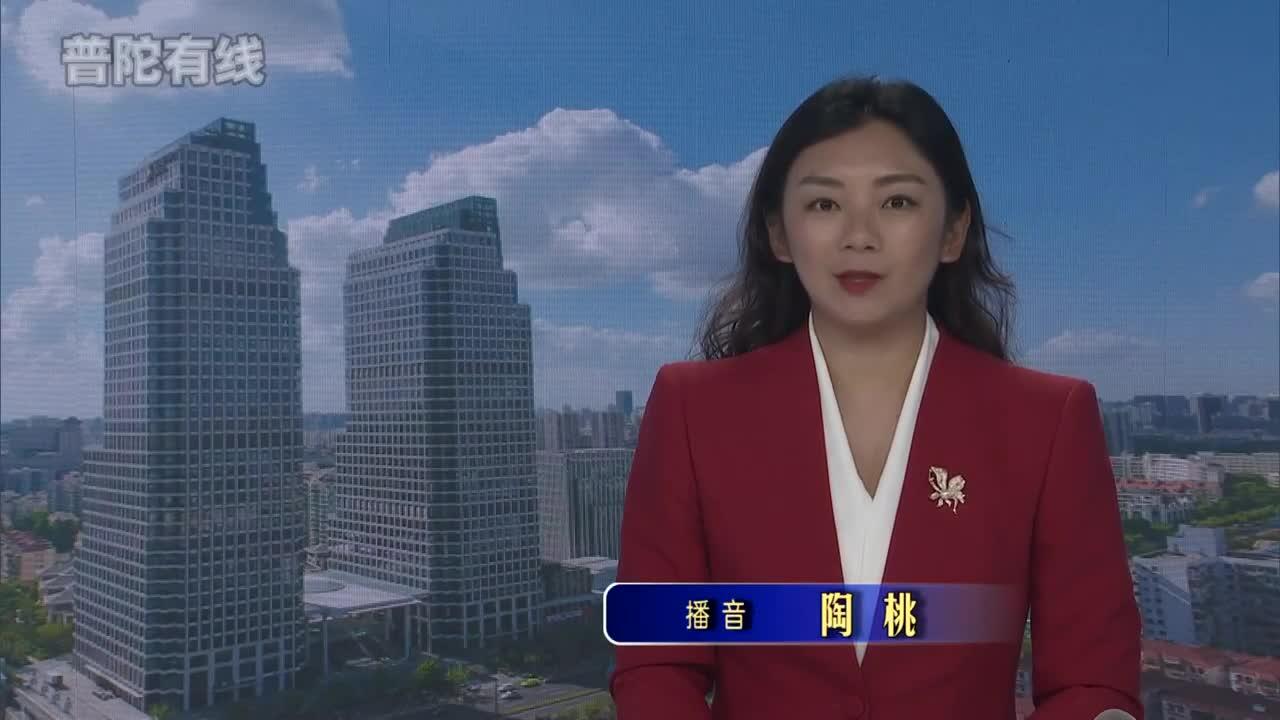 20260817普陀新闻视频