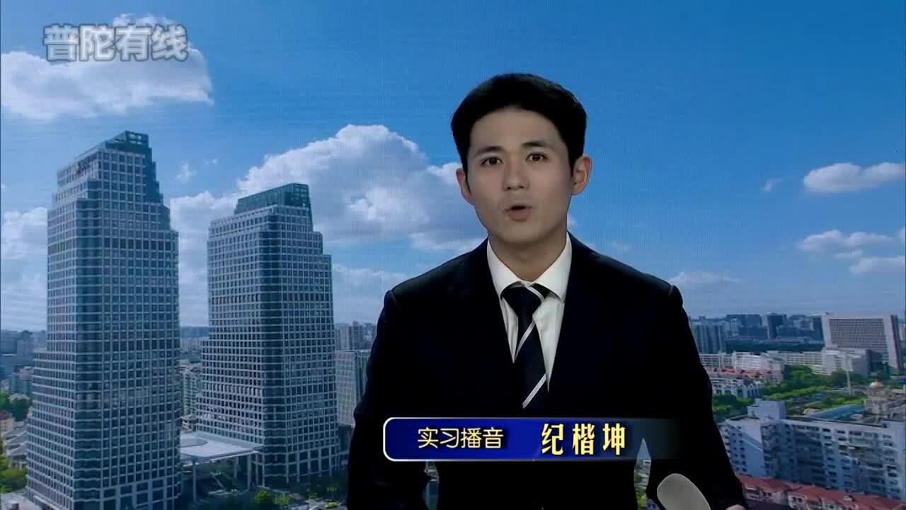 20261025普陀新闻视频