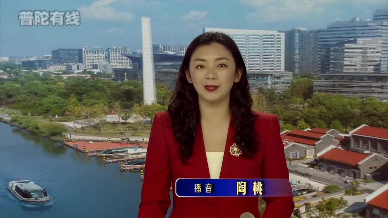 20260127普陀新闻视频
