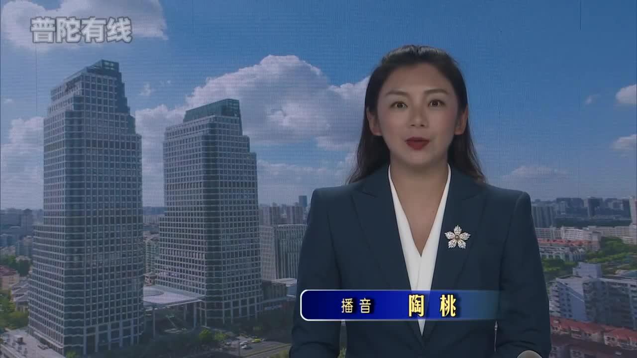 20260816普陀新闻视频