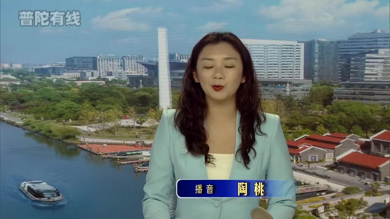20260430普陀新闻视频