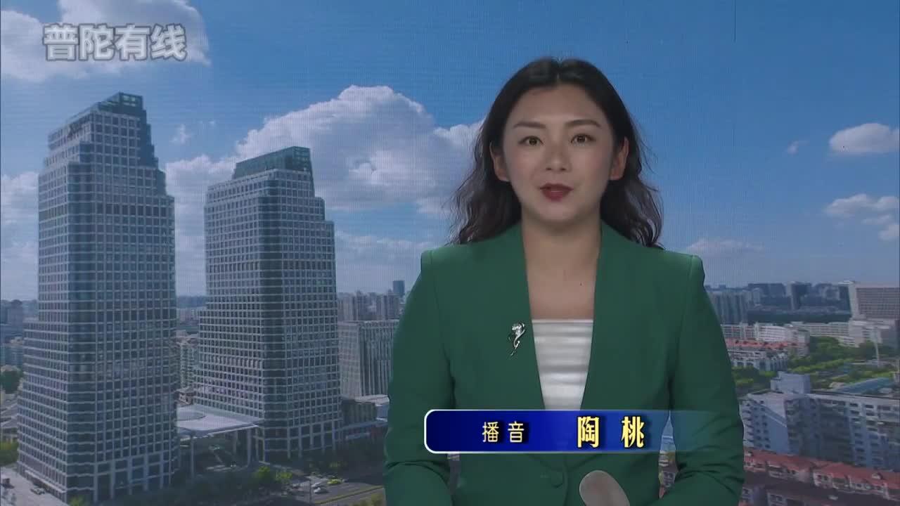 20260811普陀新闻视频