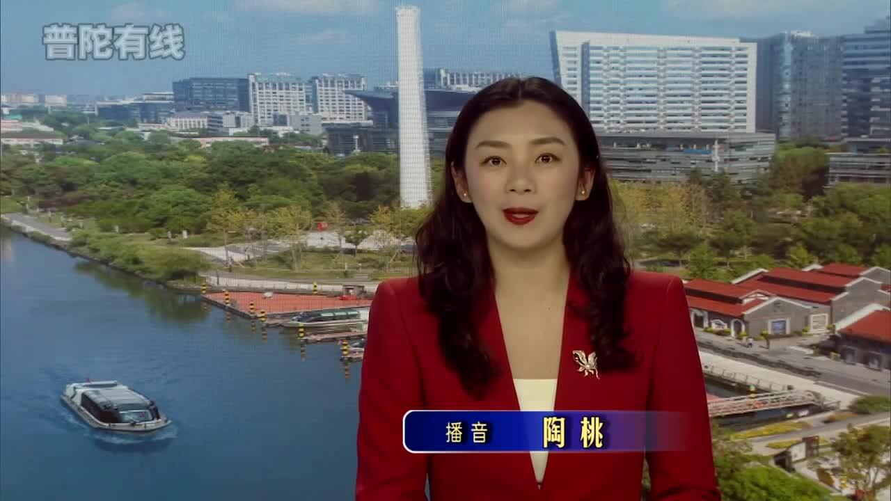 20260202普陀新闻视频