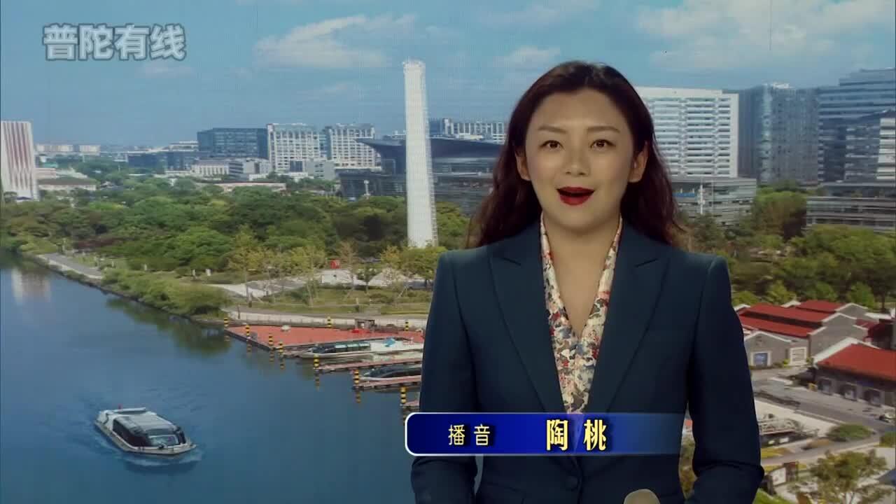 20260607普陀新闻视频