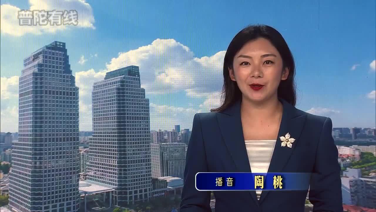 20260807普陀新闻视频