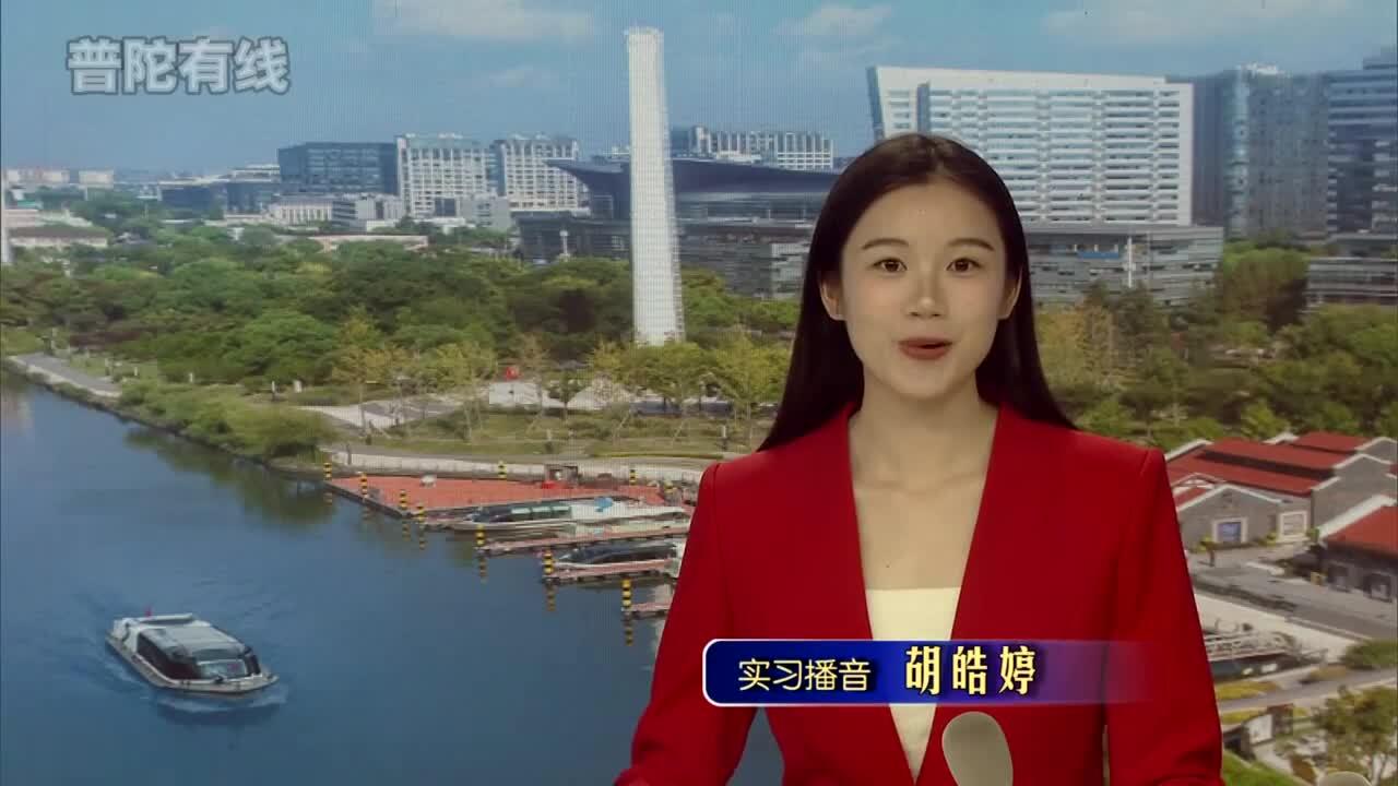 20260603普陀新闻视频