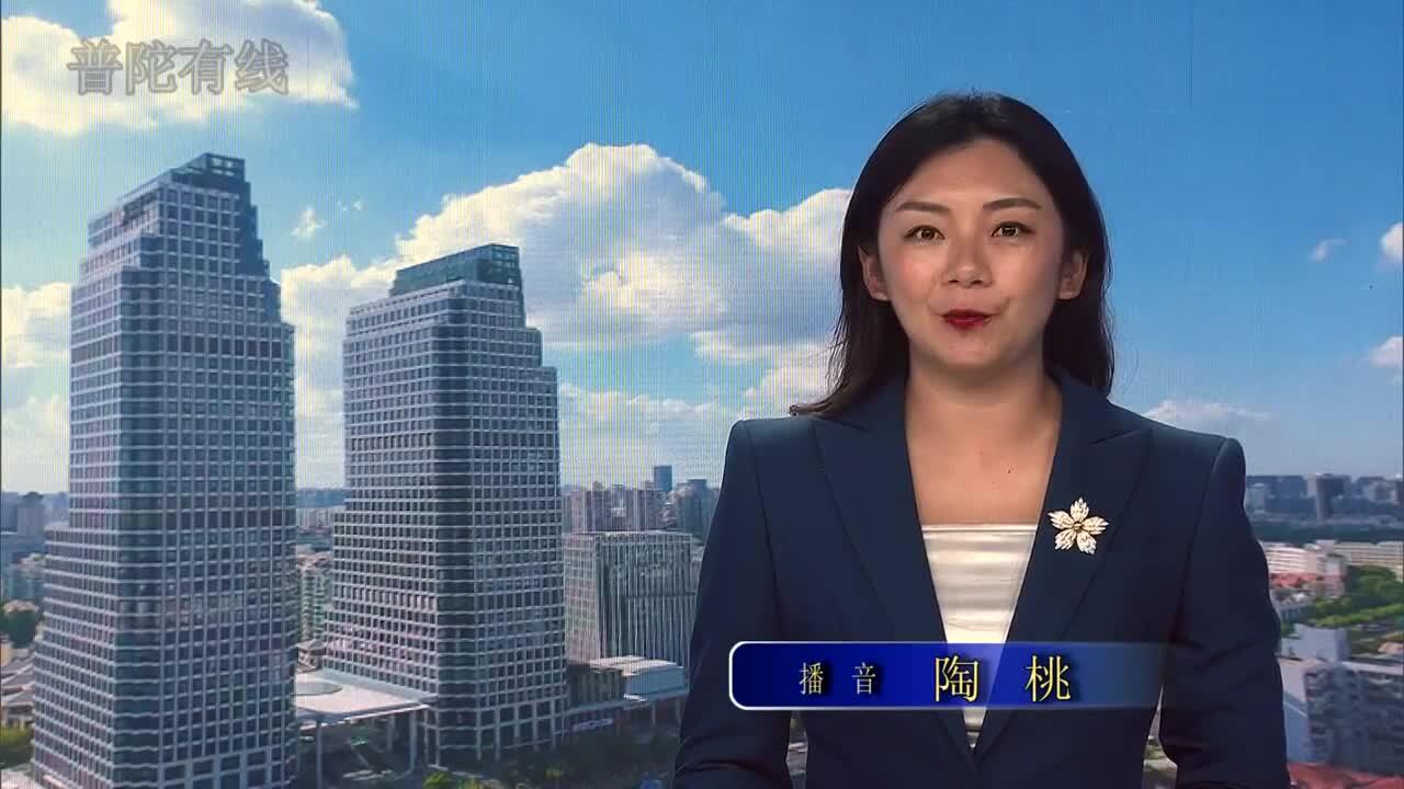 20260808普陀新闻视频