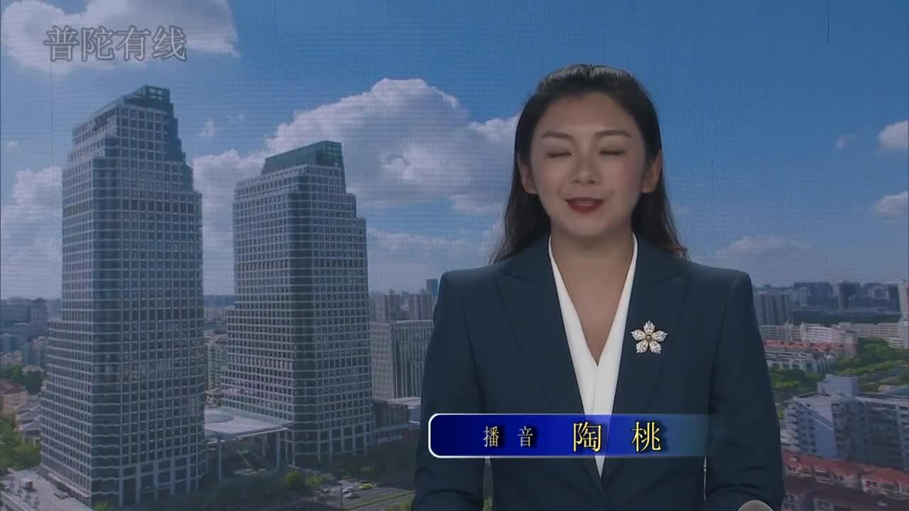 20260815普陀新闻视频