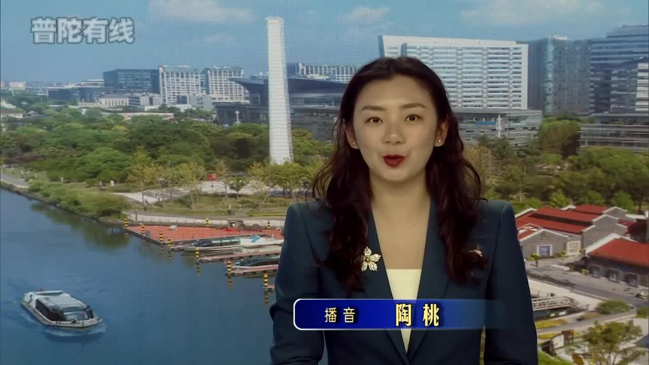 20260205普陀新闻视频