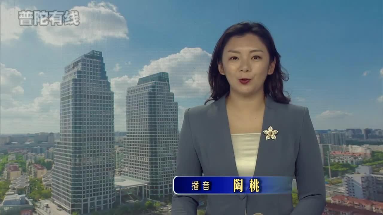 20260724普陀新闻视频