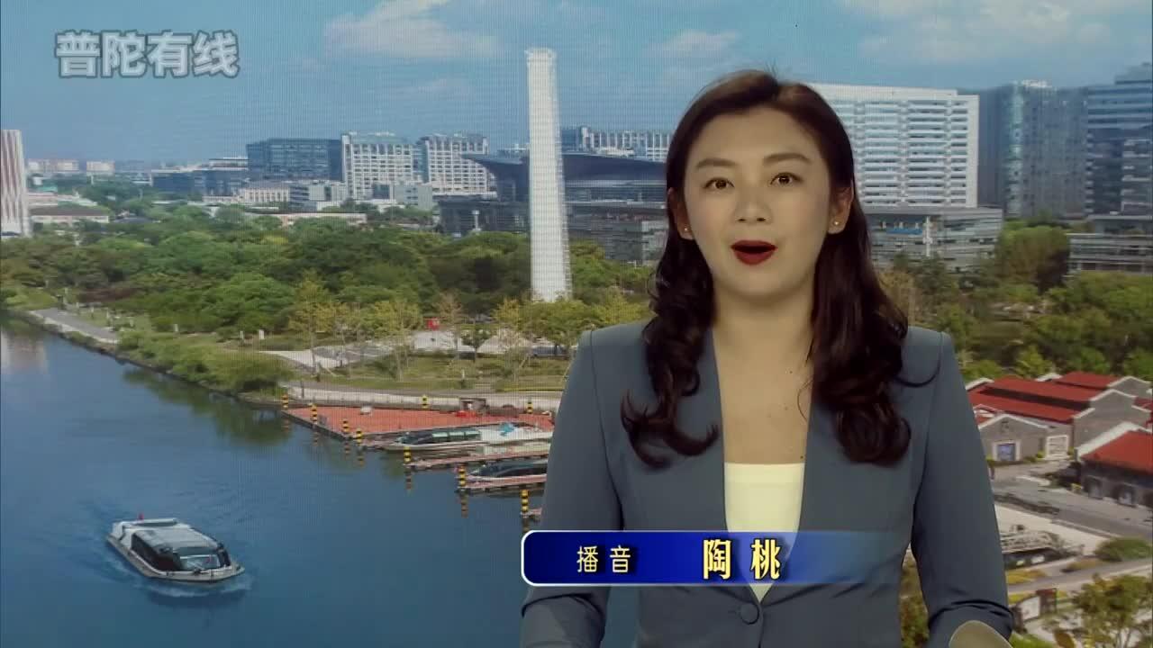 20260310普陀新闻视频