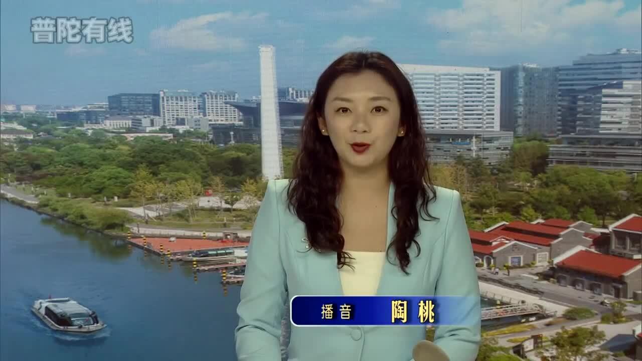 20260429普陀新闻视频