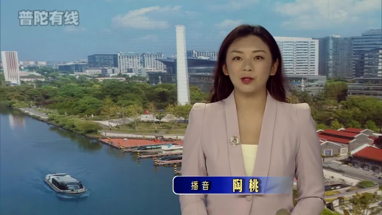 20260608普陀新闻视频